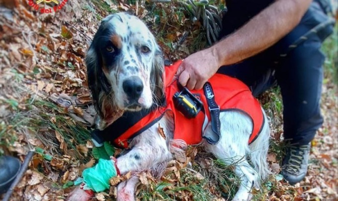 E’ sano e salvo Kim, il cagnolino recuperato in una forra in zona Pialeral