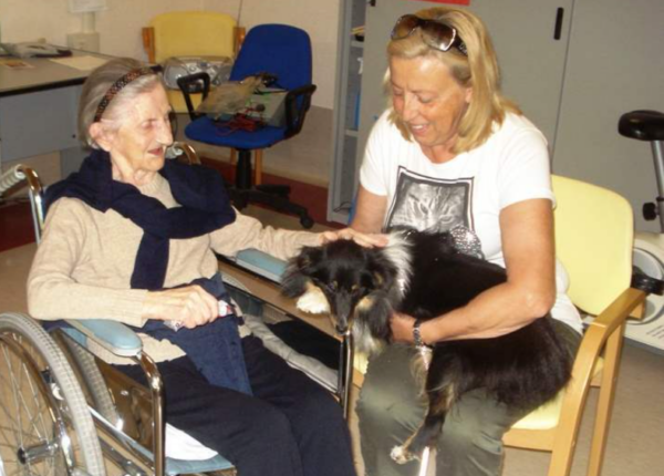 Pet Therapy: primo corso propedeutico di formazione in Api