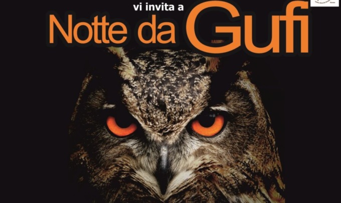 Una notte da gufi sul Monte di Brianza