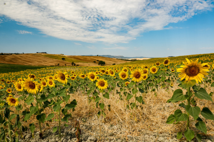 MyTuscany: la meravigliosa Toscana nei vostri scatti