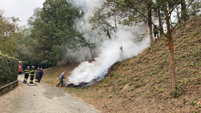 Incendio bosco a Santa Maria Hoè: rogo domato dai pompieri