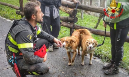 Introbio, intervento dei Vigili del fuoco per soccorrere una donna dispersa insieme alla sua cagnolina