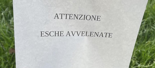 Bocconi avvelenati, a Robbiate torna l’incubo per i cani