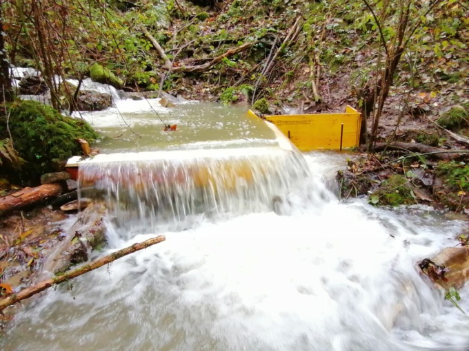 Una barriera per salvare i gamberi di fiume