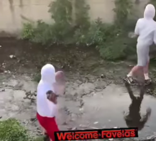 Appello dell’Enpa Merate per individuare i giovani che prendono a sassate una nutria