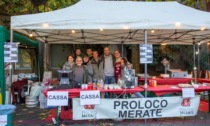 Festa d'autunno e del cioccolato: un successo! LE FOTO