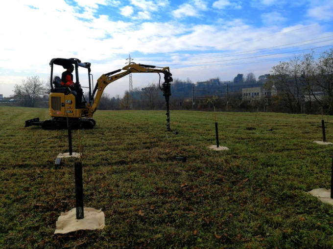 Nasce un nuovo bosco urbano