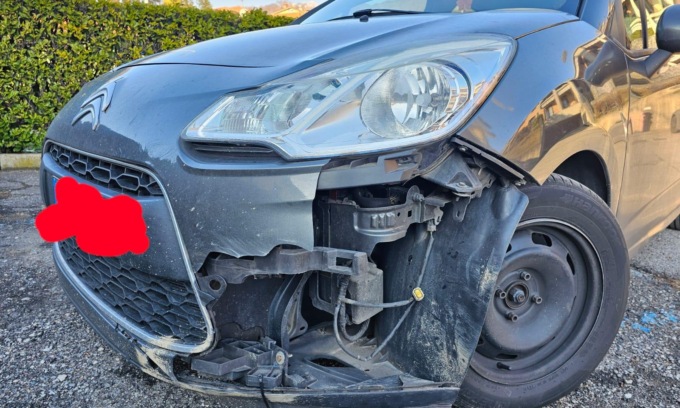 Travolge un cinghiale, auto distrutta