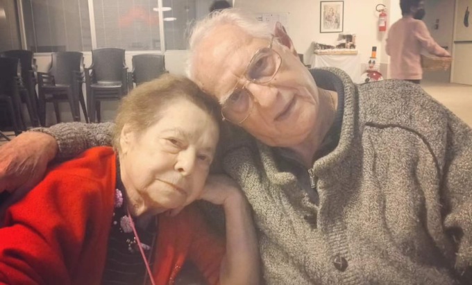 Quattro cagnolini in cerca di una casa: l’appello di Noemi per aiutare i nonni che non riescono più a gestirli