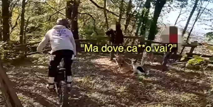 Youtubers in moto da cross nel Parco del Curone, saranno multati