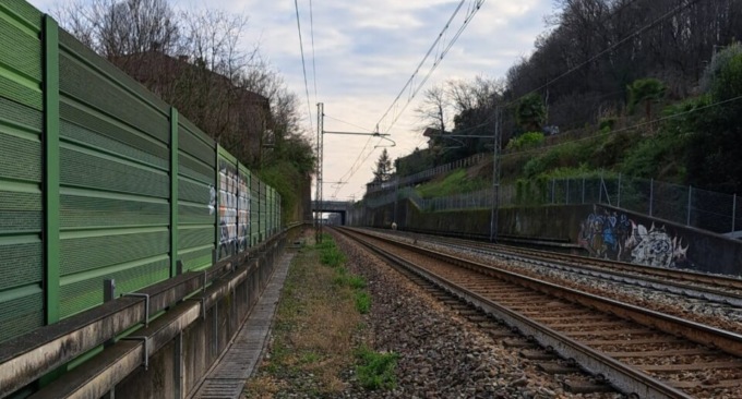 Pecora sui binari: blocca la circolazione e la insegue il sindaco