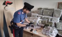 Traffico di droga, 11 arresti