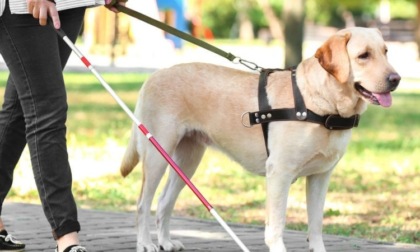 "Le Cornelle" vietano l'accesso al cane guida: non vedente rinuncia alla visita