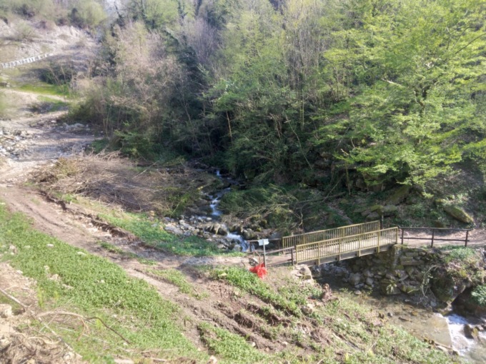 Torrente Gandaloglio, il taglio alberi fa insorgere le associazioni