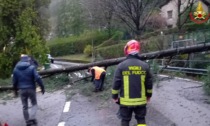 Maltempo, 15 interventi nella notte in Provincia e 865 in tutta la Regione dall'inizio dell'emergenza