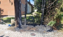 Danno fuoco agli alberi e scappano: vandali a Villa Scaccabarozzi