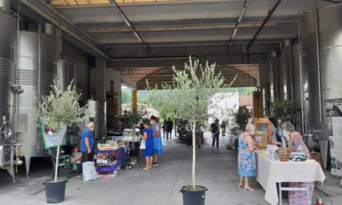 Torna il “Mercatino dell’agricoltore in Cantina”
