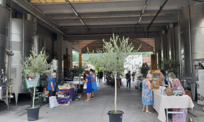 Torna il Mercatino mensile dell’agricoltore in Cantina