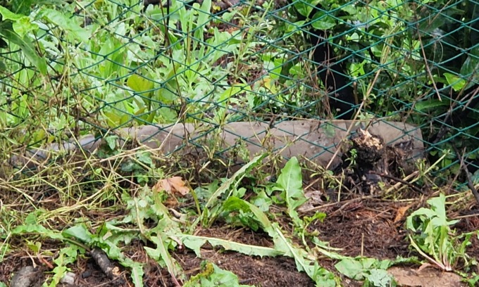 Trovati tre ordigni della Seconda guerra mondiale in una proprietà privata