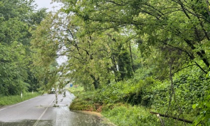 Maltempo: provinciale chiusa a Montevecchia, traffico deviato e code