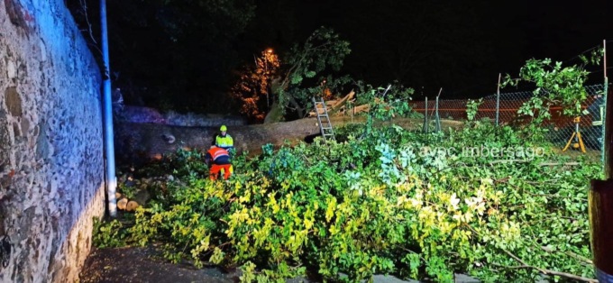 Imbersago, intervento della Protezione civile nella notte per un albero caduto