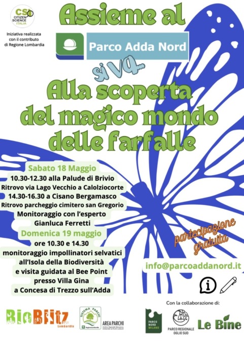 Bioblitz Lombardia: il parco Adda Nord alla scoperta delle farfalle