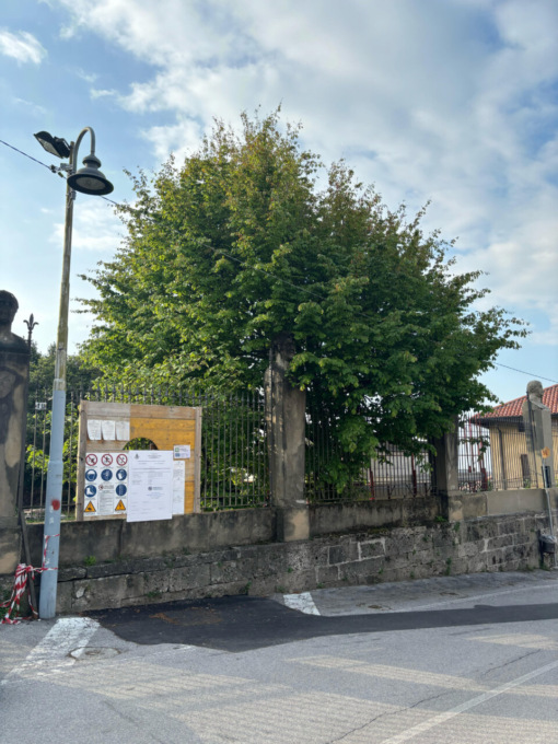 A rischio una pianta nel parco della Limonera