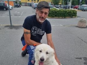 Cani al centro commerciale: la strategia per aiutarli a trovare una famiglia