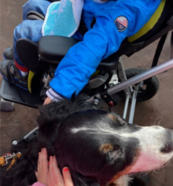 Corso base per coadiutore del cane con Ats