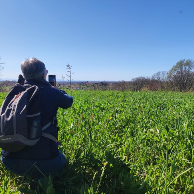 Continua  “Album – Brianza paesaggio aperto”