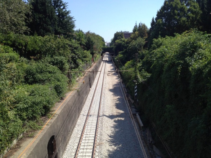 Un’ordinanza urgente per il taglio di rami e alberi vicino alla ferrovia