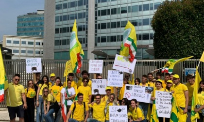 Emergenza cinghiali in Bergamasca: i cittadini manifestano