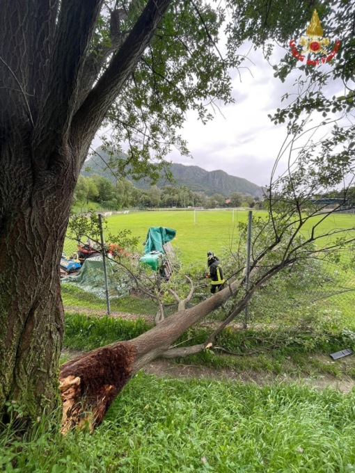 Grossa pianta si schianta sul campo: paura al centro sportivo