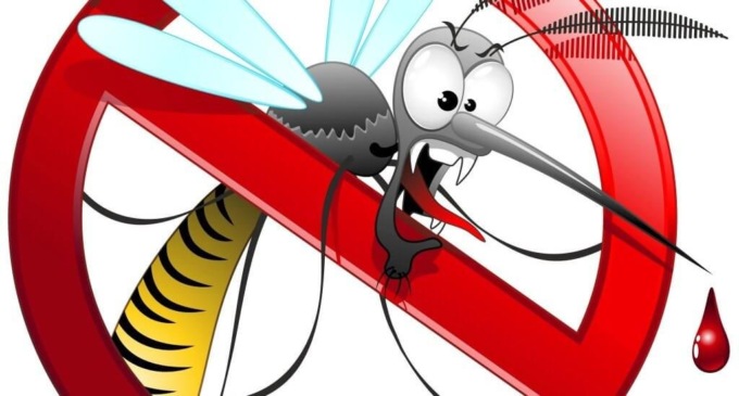 Il Comune scende in campo contro… le zanzare