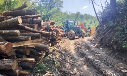 Una diffida contro i lavori al torrente Gandaloglio da un circolo ambientalista