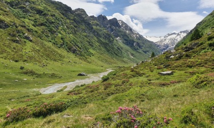 Escursione in Val Fedoz coi Gruppi di cammino