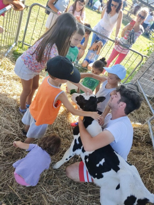 Cosa fare a Merate, Brianza e dintorni: gli eventi del weekend dal 2 al 4 agosto 2024