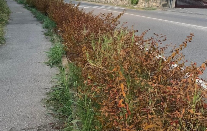 Robbiate, i cittadini lamentano poca cura del verde pubblico