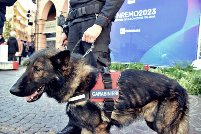 Controlli antidroga: in campo i cani del Nucleo cinofili di Casatenovo