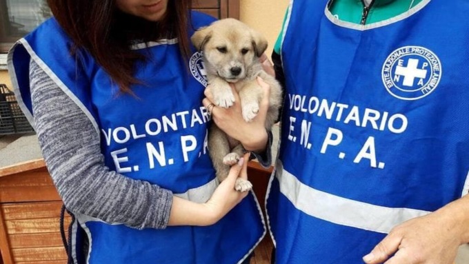 Tutto pronto per la Festa degli animali di Enpa