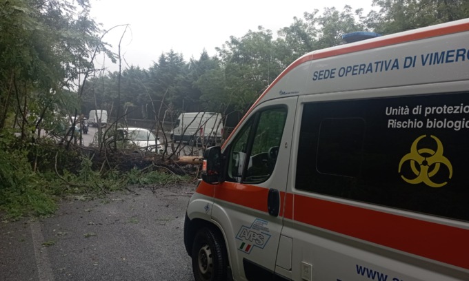 Paura in Tangenziale: albero crolla a pochi centimetri dall’auto di una ragazza incinta