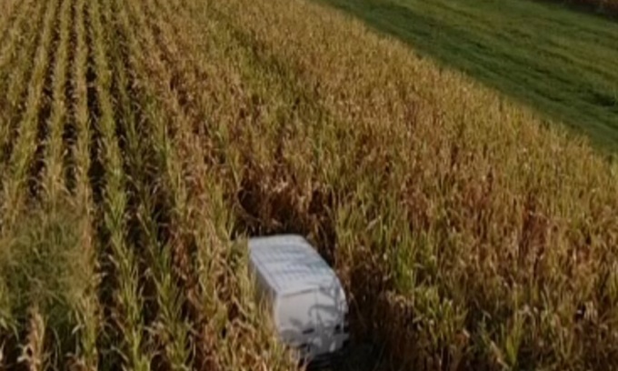 Dai campi di granoturco spunta… un furgone rubato