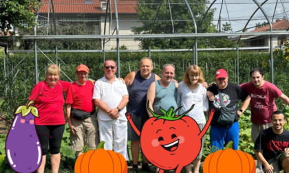 Volontaria-Mente, in piazza le verdure Bio dell'Orto sociale