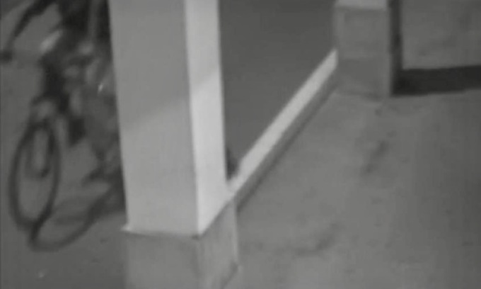 Omicidio Terno d’Isola: identificati i due ragazzini minacciati da Moussa Sangare