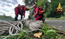 Vigili del fuoco, concluso l'addestramento del Soccorso Fluviale Alluvionale