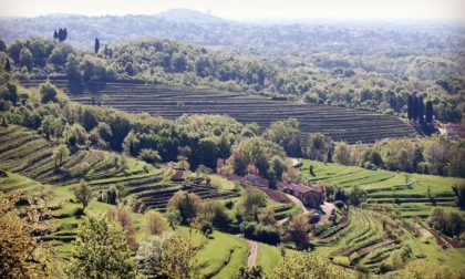 La Regione ha detto si: nasce il "Distretto del cibo Valle del Curone"