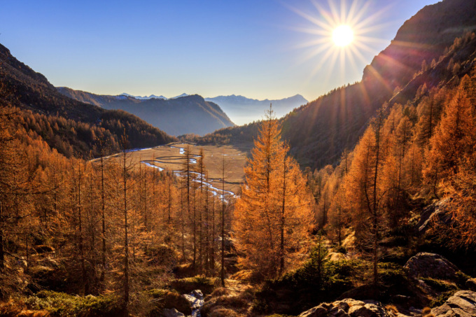 Valtellina d’autunno: la magia del foliage, il bramito del cervo, la vendemmia e molto di più