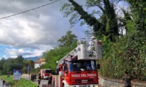 C'è un albero pericolante, intervengono i Vigili del fuoco