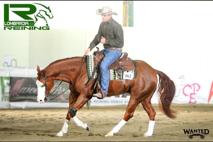 Reining, gli atleti della Monsereno Horses conquistano la finale nazionale