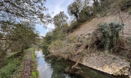 Frana sull’alzaia dell'Adda, la Provincia di Monza Brianza guiderà le analisi